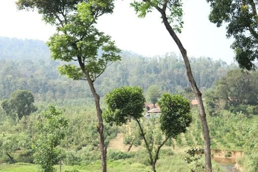 Raxidi Estate-2